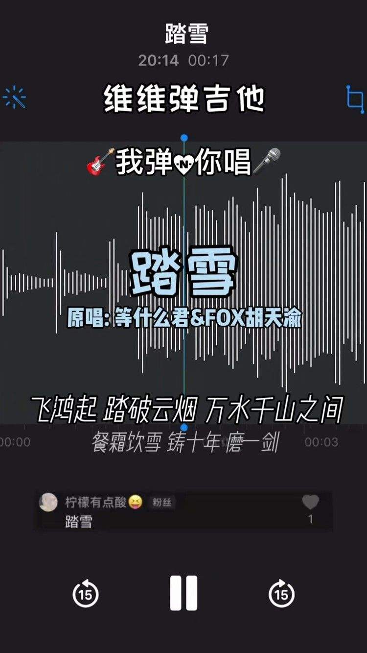 踏雪歌曲安卓版古风歌曲踏雪-第2张图片-太平洋在线下载