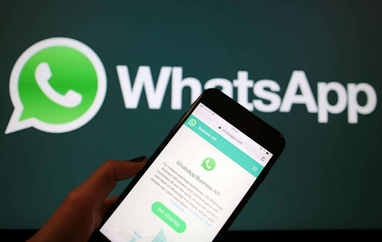 watchapp安卓版whatsapp安卓版下载