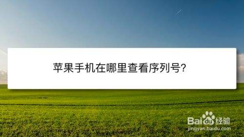 苹果手机查找电话号码iphone客服电话24小时-第2张图片-太平洋在线下载