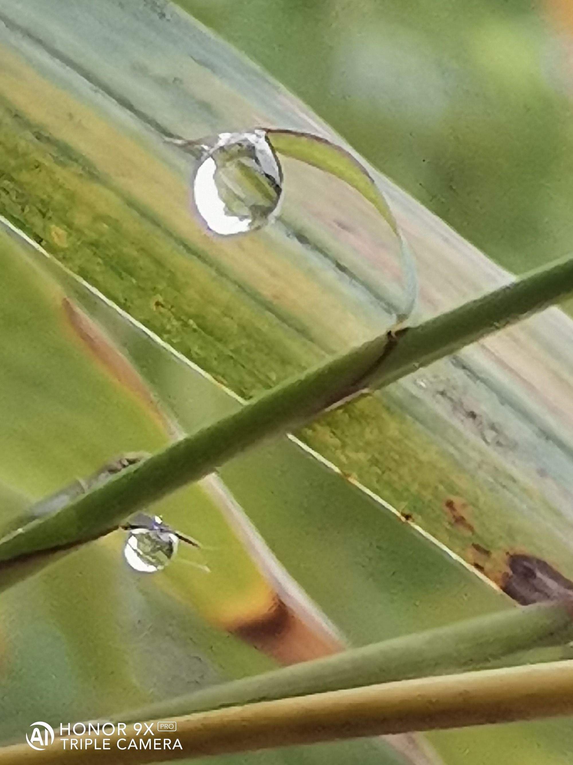 嘀嗒水滴手机版下载嘀嗒出行app-第1张图片-太平洋在线下载