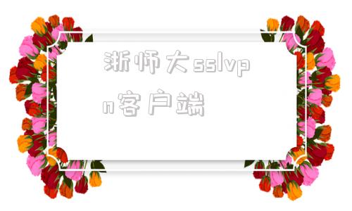 关于浙师大sslvpn客户端的信息