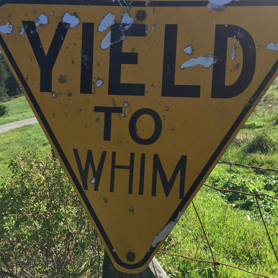 thenun苹果版(the nun苹果版)-第2张图片-QuickQ官网 thenun苹果版(the nun苹果版)-第2张图片-QuickQ官网