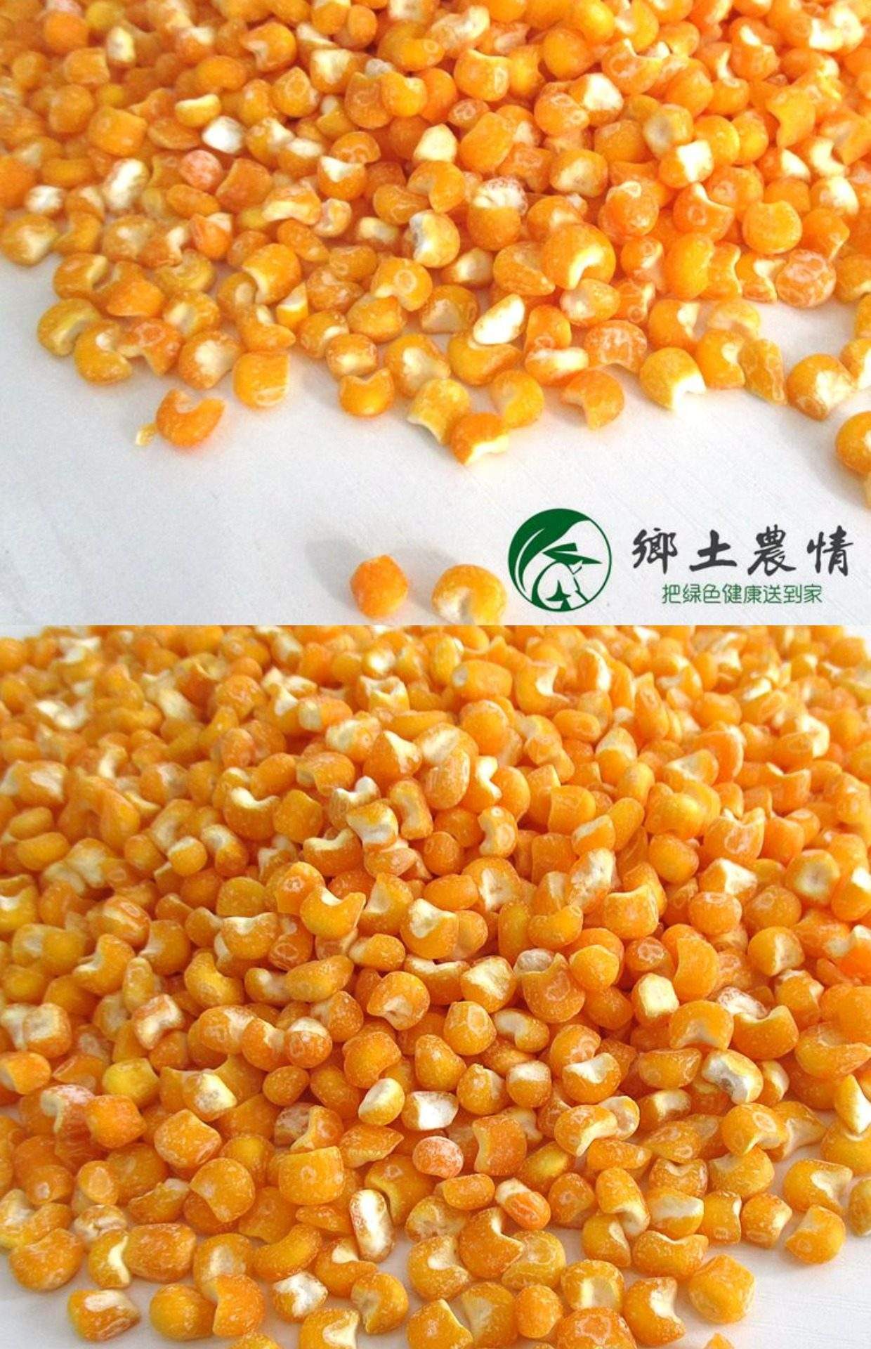 中国杂粮网手机版(中国杂粮技术研究中心)