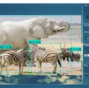 UUCALL手机版动物(uucall安卓版最新下载)-第4张图片-QuickQ官网 UUCALL手机版动物(uucall安卓版最新下载)-第4张图片-QuickQ官网