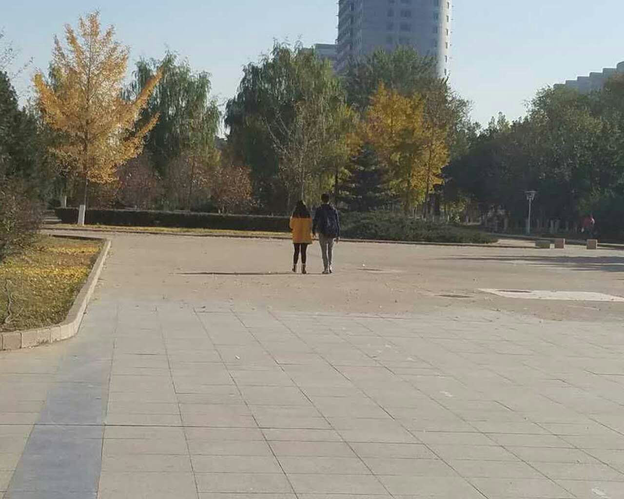 光棍被窝影院手机版(光棍影院y y g g 1111 wapdcakiytw)-第5张图片-QuickQ官网